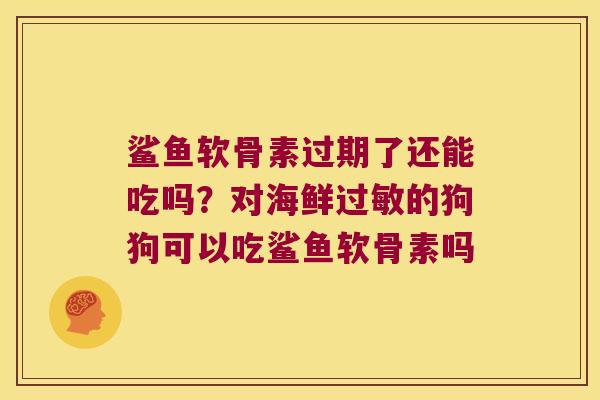 鲨鱼软骨素过期了还能吃吗?对海鲜的狗狗可以吃鲨鱼软骨素吗 鲨鱼软骨素过期了还能吃吗?对海鲜的狗狗可以吃鲨鱼软骨素吗
