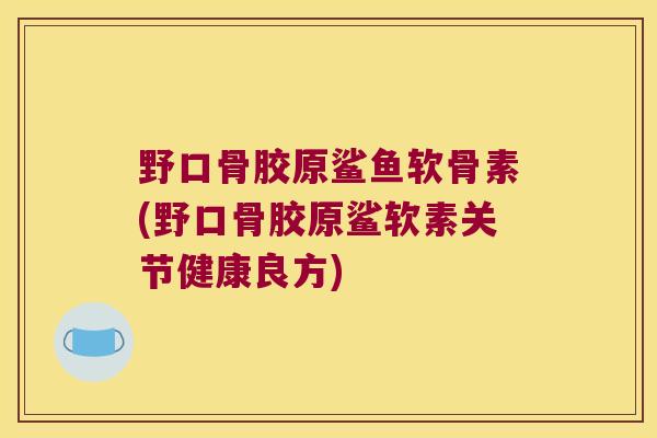 野口骨胶原鲨鱼软骨素(野口骨胶原鲨软素关节健康良方) 野口骨胶原鲨鱼软骨素(野口骨胶原鲨软素关节健康良方)