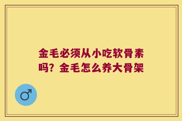 金毛必须从小吃软骨素吗?金毛怎么养大骨架 金毛必须从小吃软骨素吗?金毛怎么养大骨架