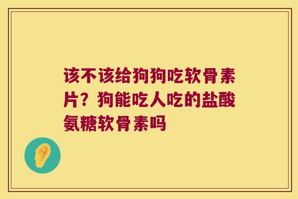 该不该给狗狗吃软骨素片？狗能吃人吃的盐酸氨糖软骨素吗