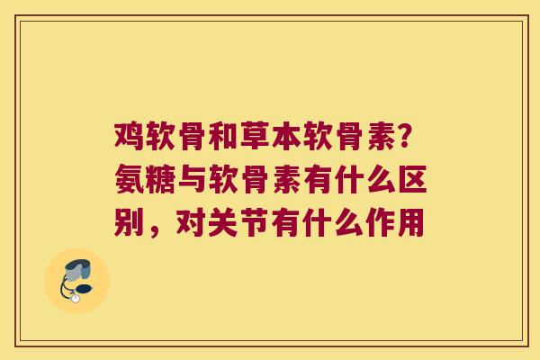鸡软骨和草本软骨素？氨糖与软骨素有什么区别，对关节有什么作用