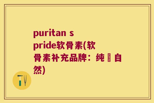puritan s pride软骨素(软骨素补充品牌：纯淨自然)