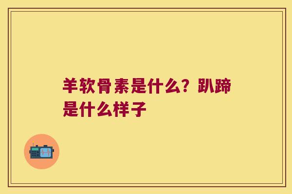 羊软骨素是什么？趴蹄是什么样子