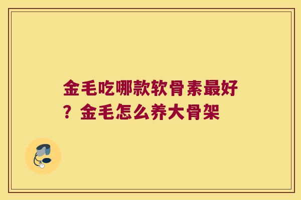 金毛吃哪款软骨素好？金毛怎么养大骨架