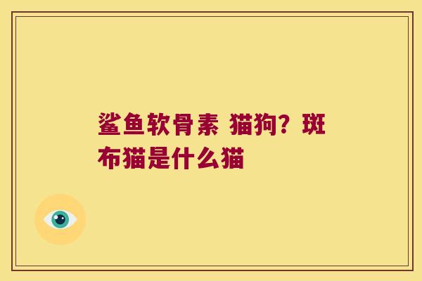 鲨鱼软骨素 猫狗？斑布猫是什么猫