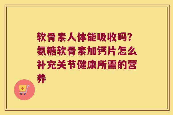 软骨素人体能吸收吗？氨糖软骨素加钙片怎么补充关节健康所需的营养