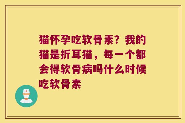 猫怀孕吃软骨素？我的猫是折耳猫，每一个都会得软骨吗什么时候吃软骨素