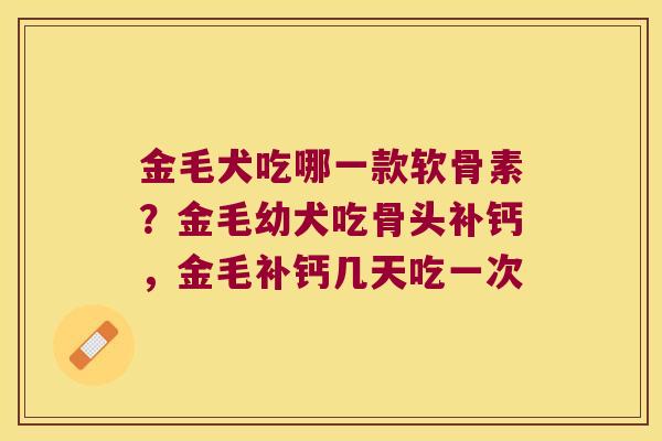 金毛犬吃哪一款软骨素?金毛幼犬吃骨头补钙,金毛补钙几天吃一次 金毛犬吃哪一款软骨素?金毛幼犬吃骨头补钙,金毛补钙几天吃一次