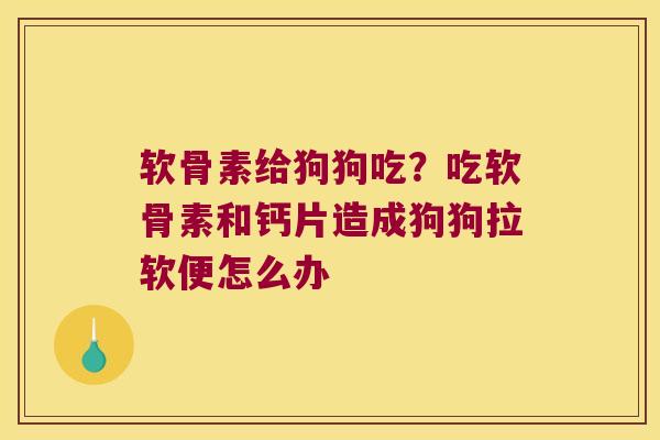 软骨素给狗狗吃?吃软骨素和钙片造成狗狗拉软便怎么办 软骨素给狗狗吃?吃软骨素和钙片造成狗狗拉软便怎么办