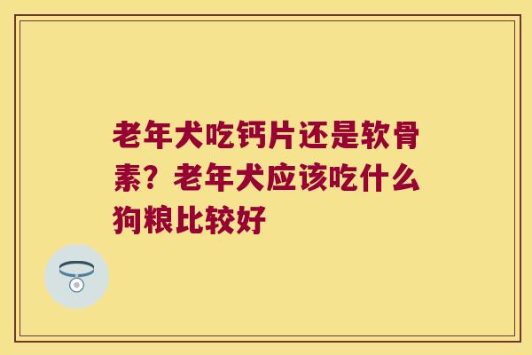 老年犬吃钙片还是软骨素?老年犬应该吃什么狗粮比较好 老年犬吃钙片还是软骨素?老年犬应该吃什么狗粮比较好