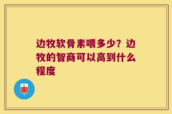 边牧软骨素喂多少?边牧的智商可以高到什么程度 边牧软骨素喂多少?边牧的智商可以高到什么程度
