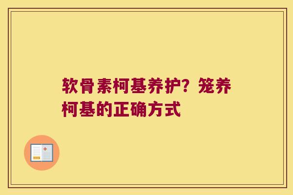 软骨素柯基养护?笼养柯基的正确方式 软骨素柯基养护?笼养柯基的正确方式