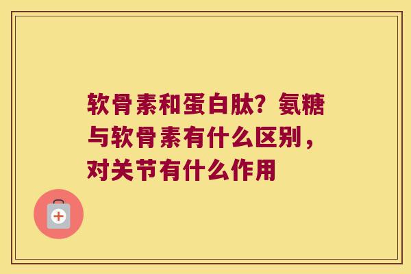 软骨素和蛋白肽？氨糖与软骨素有什么区别，对关节有什么作用