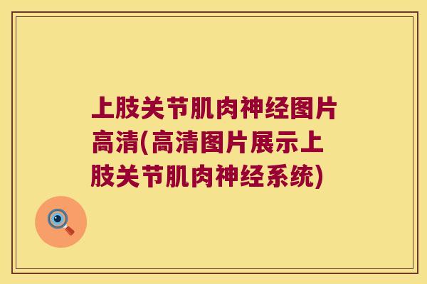 上肢关节肌肉图片高清(高清图片展示上肢关节肌肉系统) 上肢关节肌肉图片高清(高清图片展示上肢关节肌肉系统)