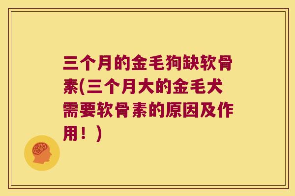 三个月的金毛狗缺软骨素(三个月大的金毛犬需要软骨素的原因及作用！)