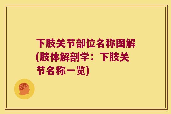 下肢关节部位名称图解(肢体解剖学：下肢关节名称一览)