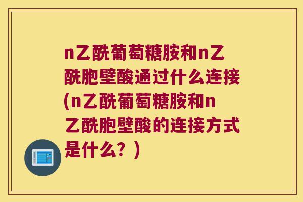 n乙酰葡萄糖胺和n乙酰胞壁酸通过什么连接(n乙酰葡萄糖胺和n乙酰胞壁酸的连接方式是什么?) n乙酰葡萄糖胺和n乙酰胞壁酸通过什么连接(n乙酰葡萄糖胺和n乙酰胞壁酸的连接方式是什么?)