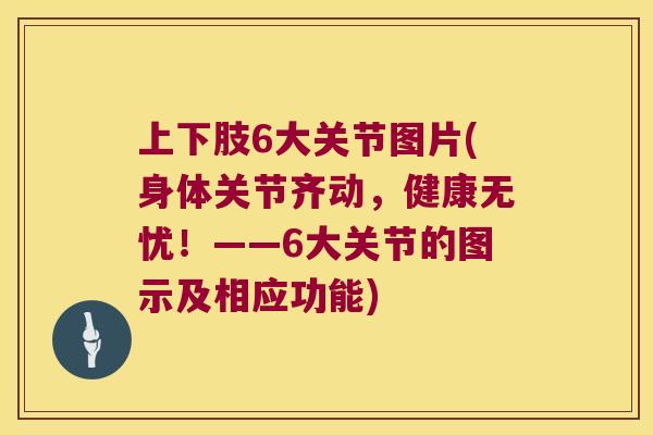 上下肢6大关节图片(身体关节齐动,健康无忧!——6大关节的图示及相应功能) 上下肢6大关节图片(身体关节齐动,健康无忧!——6大关节的图示及相应功能)