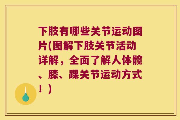 下肢有哪些关节运动图片(图解下肢关节活动详解,全面了解人体髋、膝、踝关节运动方式!) 下肢有哪些关节运动图片(图解下肢关节活动详解,全面了解人体髋、膝、踝关节运动方式!)
