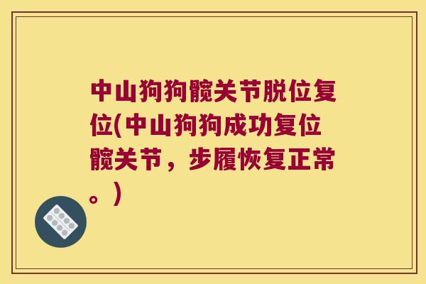 中山狗狗髋关节脱位复位(中山狗狗成功复位髋关节,步履恢复正常。) 中山狗狗髋关节脱位复位(中山狗狗成功复位髋关节,步履恢复正常。)