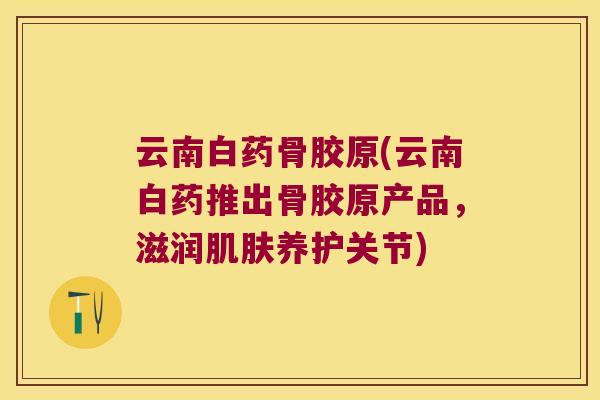 云南白药骨胶原(云南白药推出骨胶原产品,滋润养护关节) 云南白药骨胶原(云南白药推出骨胶原产品,滋润养护关节)