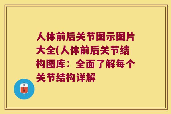人体前后关节图示图片大全(人体前后关节结构图库:全面了解每个关节结构详解 人体前后关节图示图片大全(人体前后关节结构图库:全面了解每个关节结构详解