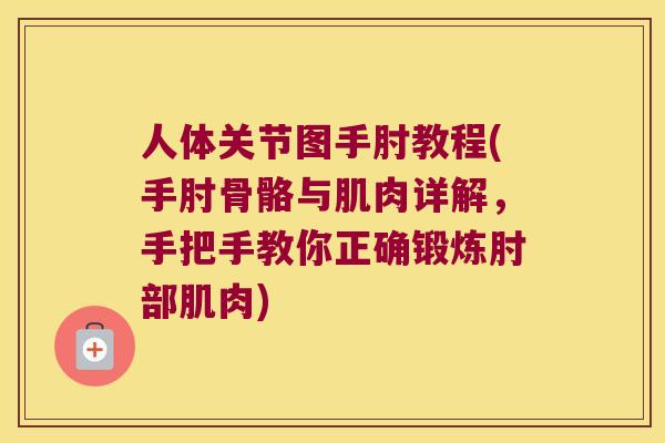 人体关节图手肘教程(手肘骨骼与肌肉详解,手把手教你正确锻炼肘部肌肉) 人体关节图手肘教程(手肘骨骼与肌肉详解,手把手教你正确锻炼肘部肌肉)