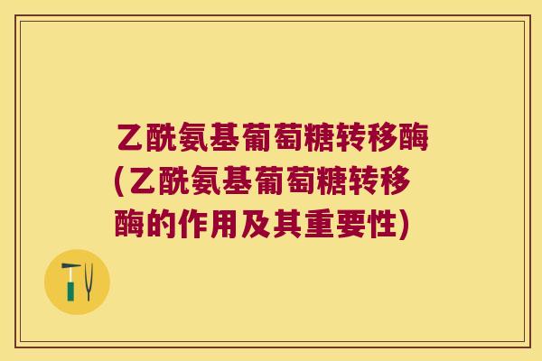 乙酰氨基葡萄糖转移酶(乙酰氨基葡萄糖转移酶的作用及其重要性)