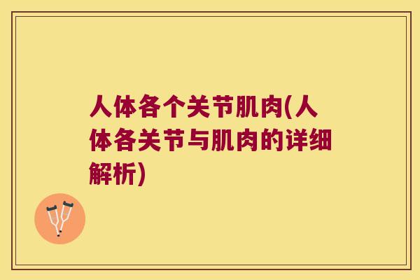 人体各个关节肌肉(人体各关节与肌肉的详细解析)