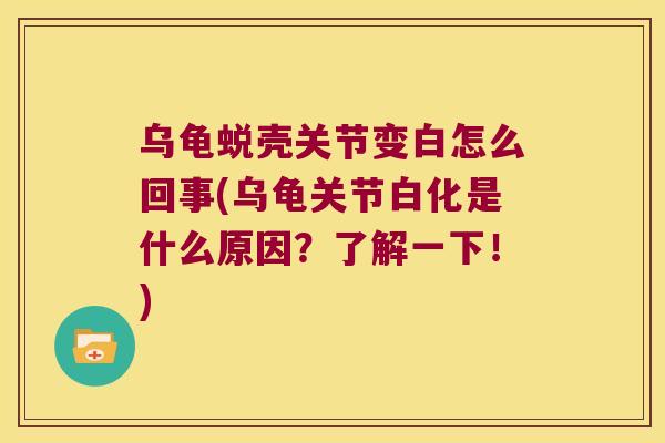 乌龟蜕壳关节变白怎么回事(乌龟关节白化是什么原因?了解一下!) 乌龟蜕壳关节变白怎么回事(乌龟关节白化是什么原因?了解一下!)