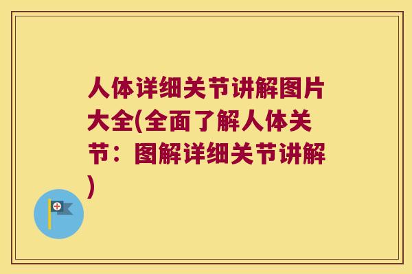 人体详细关节讲解图片大全(全面了解人体关节:图解详细关节讲解) 人体详细关节讲解图片大全(全面了解人体关节:图解详细关节讲解)
