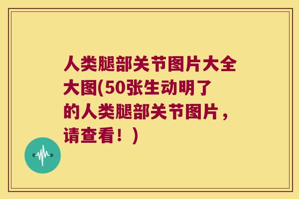 人类腿部关节图片大全大图(50张生动明了的人类腿部关节图片，请查看！)