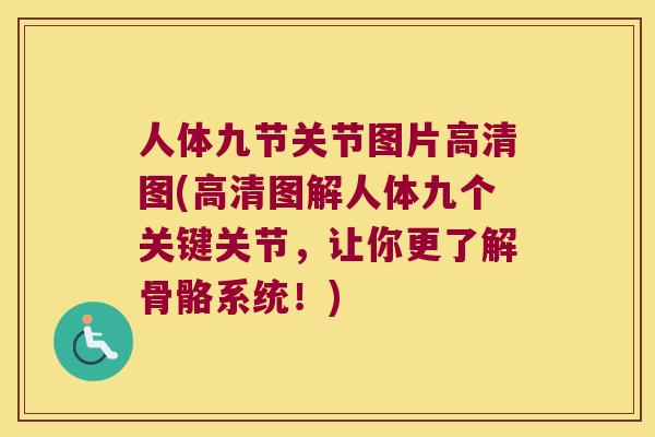 人体九节关节图片高清图(高清图解人体九个关键关节,让你更了解骨骼系统!) 人体九节关节图片高清图(高清图解人体九个关键关节,让你更了解骨骼系统!)
