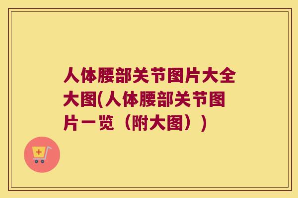 人体腰部关节图片大全大图(人体腰部关节图片一览（附大图）)