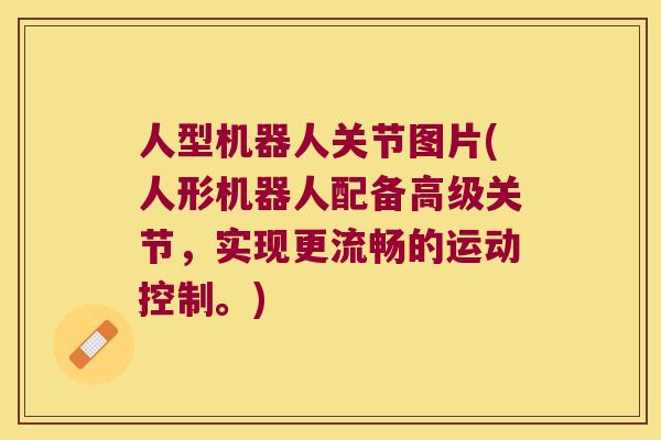 人型机器人关节图片(人形机器人配备高级关节，实现更流畅的运动控制。)