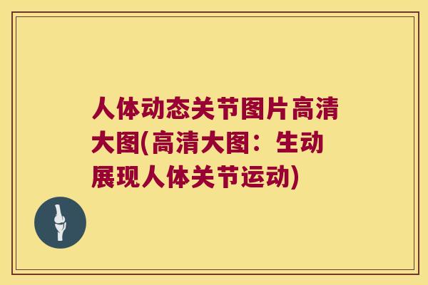 人体动态关节图片高清大图(高清大图：生动展现人体关节运动)