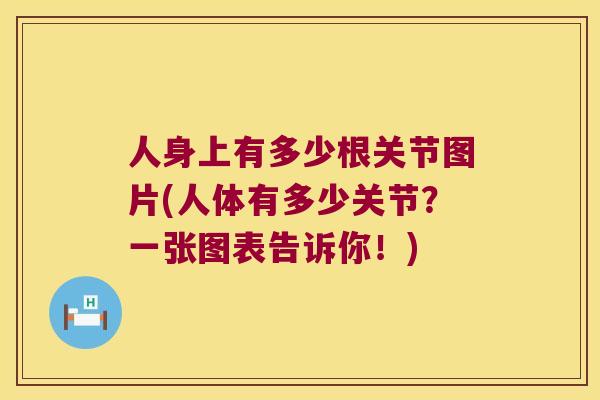 人身上有多少根关节图片(人体有多少关节?一张图表告诉你!) 人身上有多少根关节图片(人体有多少关节?一张图表告诉你!)