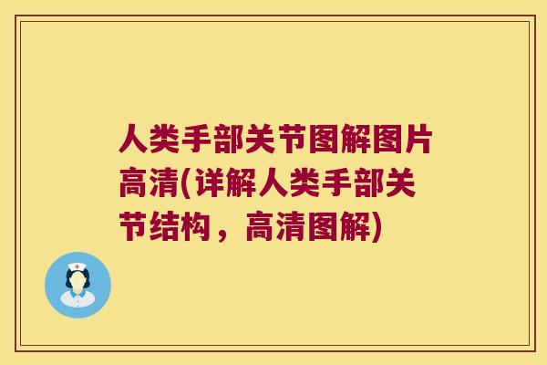人类手部关节图解图片高清(详解人类手部关节结构，高清图解)