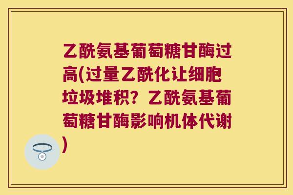 乙酰氨基葡萄糖甘酶过高(过量乙酰化让细胞垃圾堆积？乙酰氨基葡萄糖甘酶影响机体代谢)