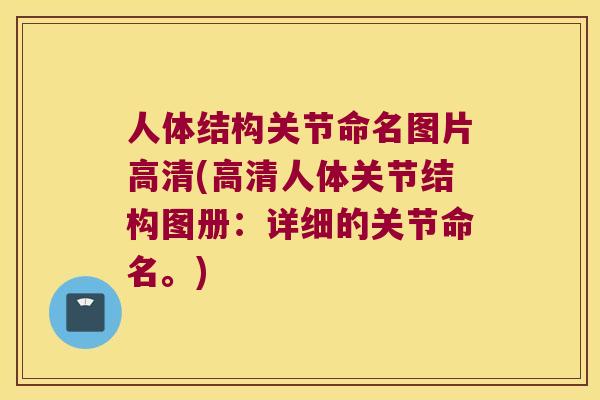 人体结构关节命名图片高清(高清人体关节结构图册:详细的关节命名。) 人体结构关节命名图片高清(高清人体关节结构图册:详细的关节命名。)