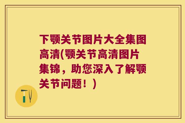 下颚关节图片大全集图高清(颚关节高清图片集锦,助您深入了解颚关节问题!) 下颚关节图片大全集图高清(颚关节高清图片集锦,助您深入了解颚关节问题!)