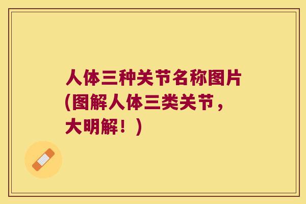 人体三种关节名称图片(图解人体三类关节，大明解！)