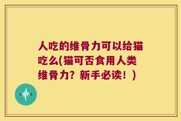 人吃的维骨力可以给猫吃么(猫可否食用人类维骨力？新手必读！)