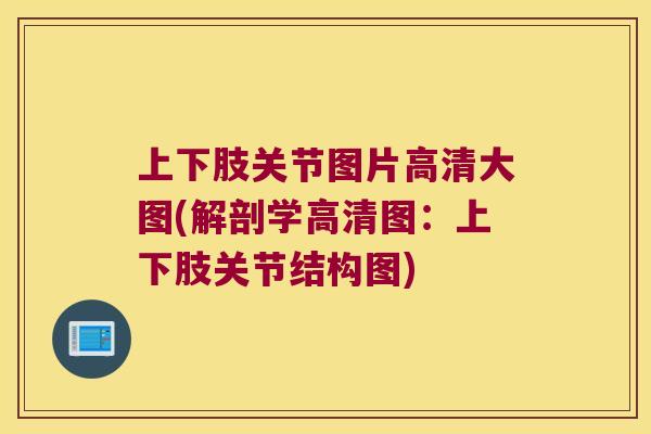 上下肢关节图片高清大图(解剖学高清图：上下肢关节结构图)