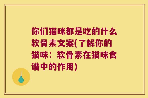 你们猫咪都是吃的什么软骨素文案(了解你的猫咪：软骨素在猫咪食谱中的作用)