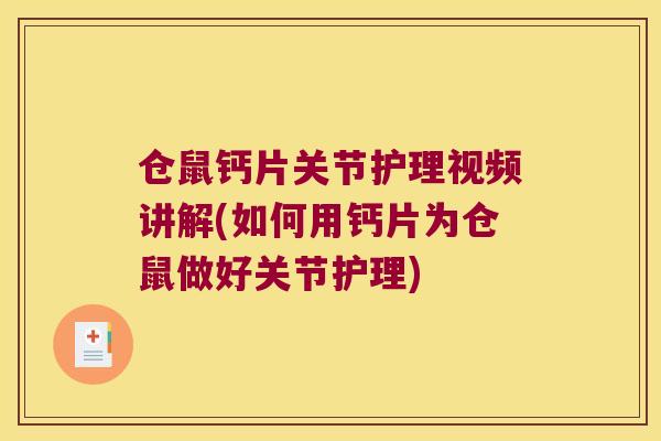 仓鼠钙片关节护理视频讲解(如何用钙片为仓鼠做好关节护理)