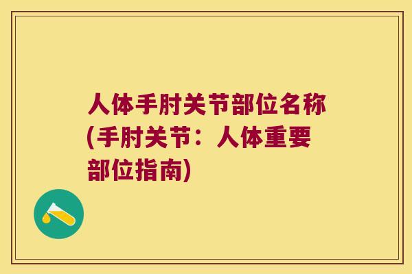 人体手肘关节部位名称(手肘关节：人体重要部位指南)