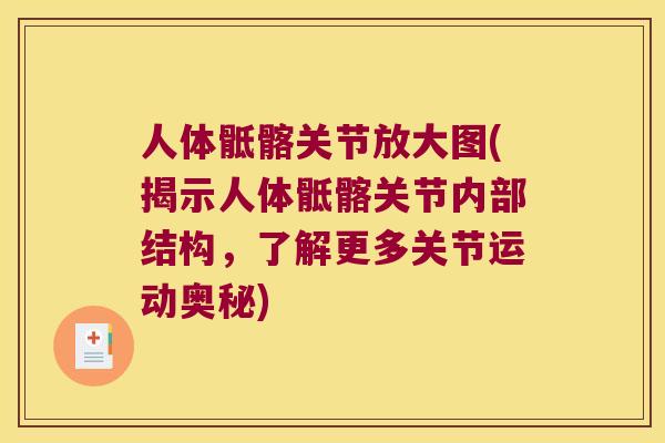 人体骶髂关节放大图(揭示人体骶髂关节内部结构,了解更多关节运动奥秘) 人体骶髂关节放大图(揭示人体骶髂关节内部结构,了解更多关节运动奥秘)