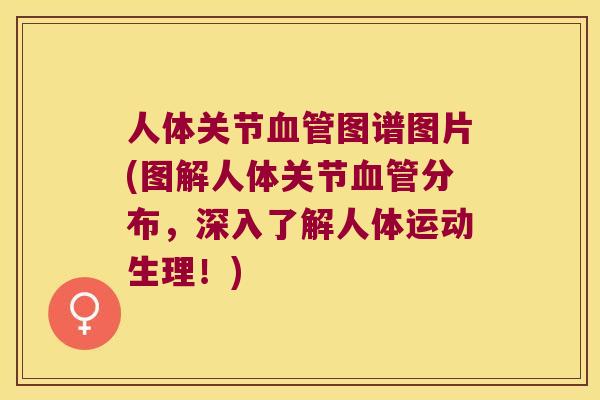 人体关节图谱图片(图解人体关节分布，深入了解人体运动生理！)