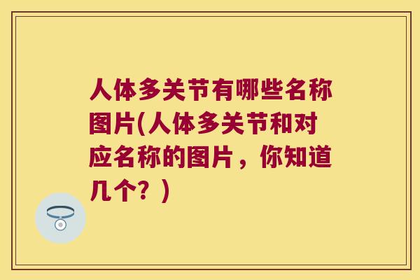 人体多关节有哪些名称图片(人体多关节和对应名称的图片,你知道几个?) 人体多关节有哪些名称图片(人体多关节和对应名称的图片,你知道几个?)